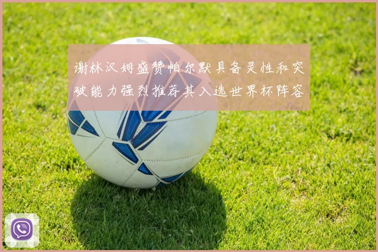 谢林汉姆盛赞帕尔默具备灵性和突破能力强烈推荐其入选世界杯阵容