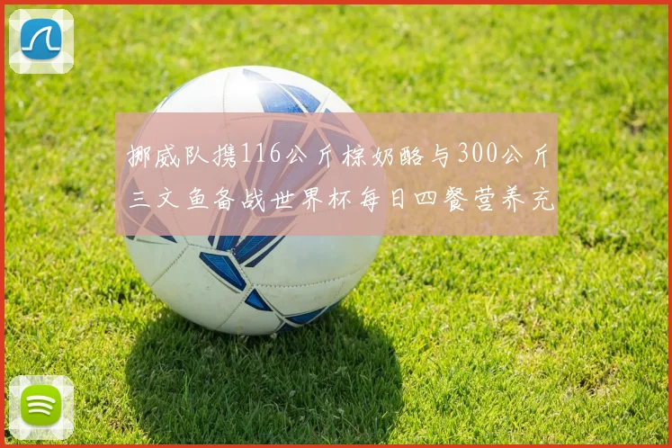 挪威队携116公斤棕奶酪与300公斤三文鱼备战世界杯每日四餐营养充足
